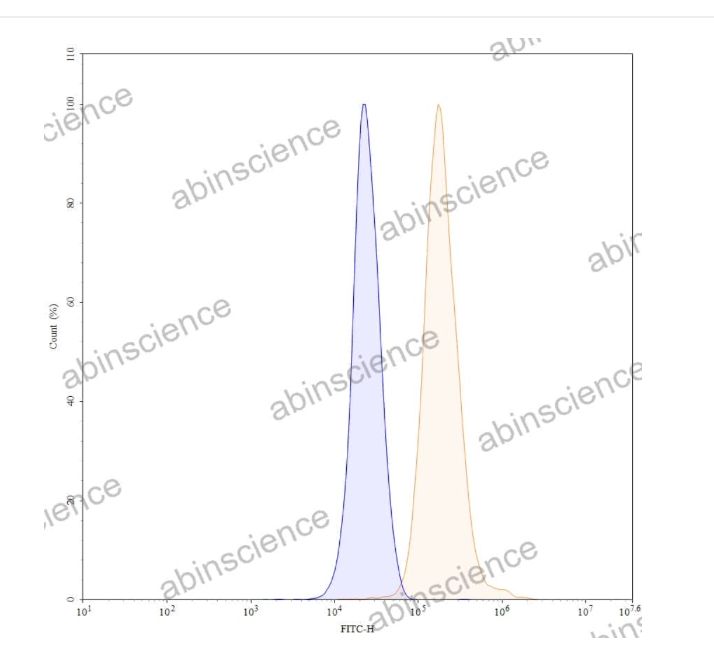 Abinscience Anti-Human Tau Recombinant Antibody (IPN-002), FITC (HY086117)