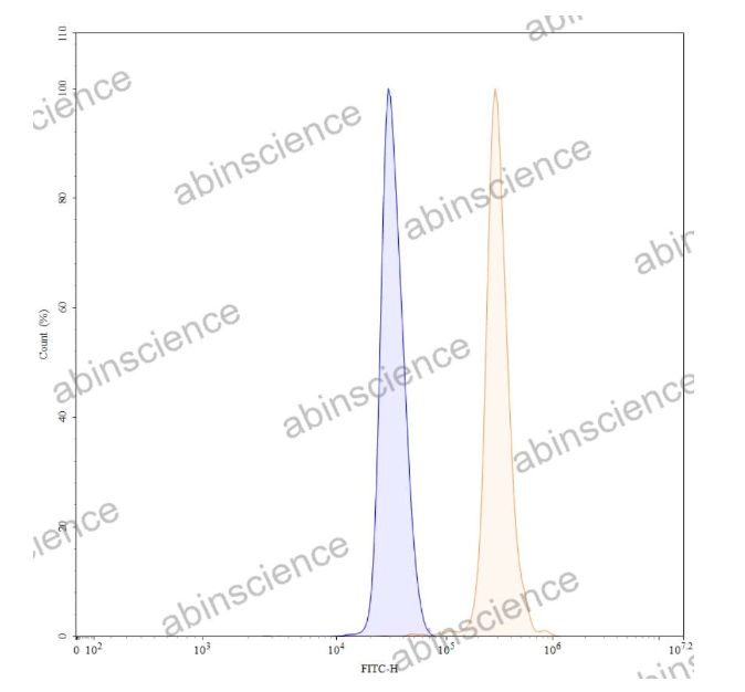 Abinscience Anti-Human Tau Recombinant Antibody (SAA0114), FITC (HY086217)