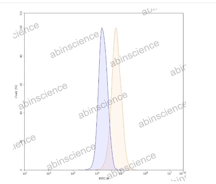 Abinscience Anti-Human Tau Recombinant Antibody (MC1) (HY086203)