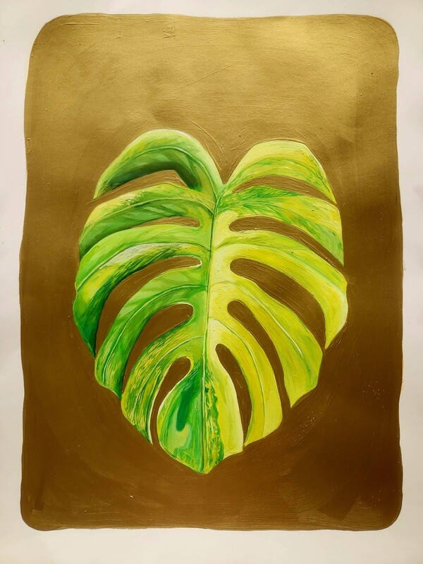 Monstera Aurea