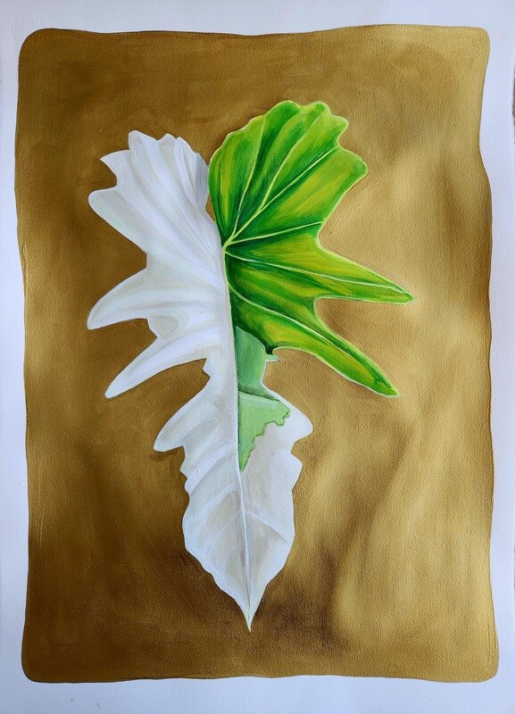 Variegated Philo
