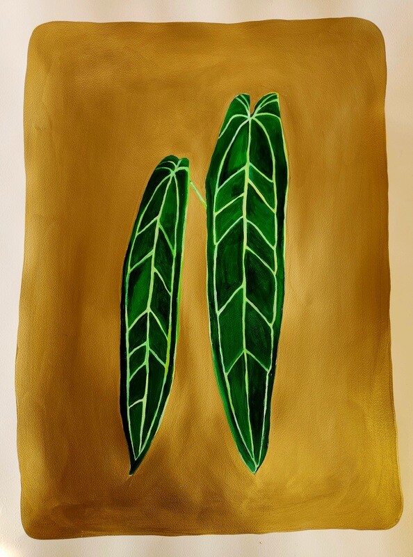 Anthurium
