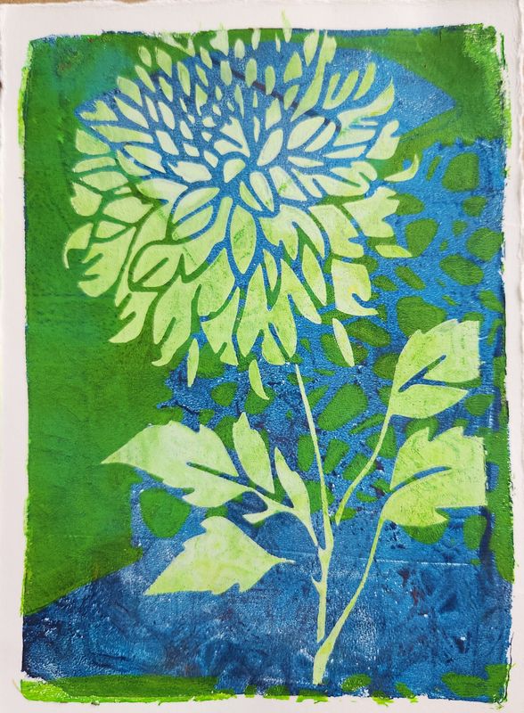Dahlia #3