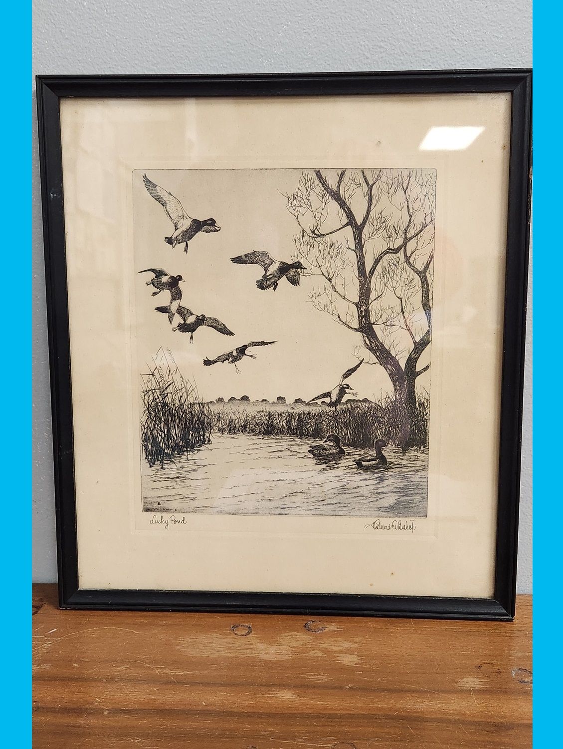 Print of five ducks flying over a pond.