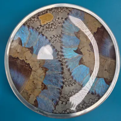 Butterfly Wing Wall Decor