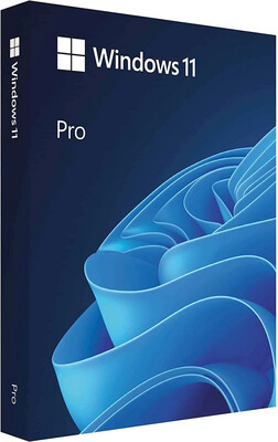 Windows 11 professional license (1 Device) - OEM