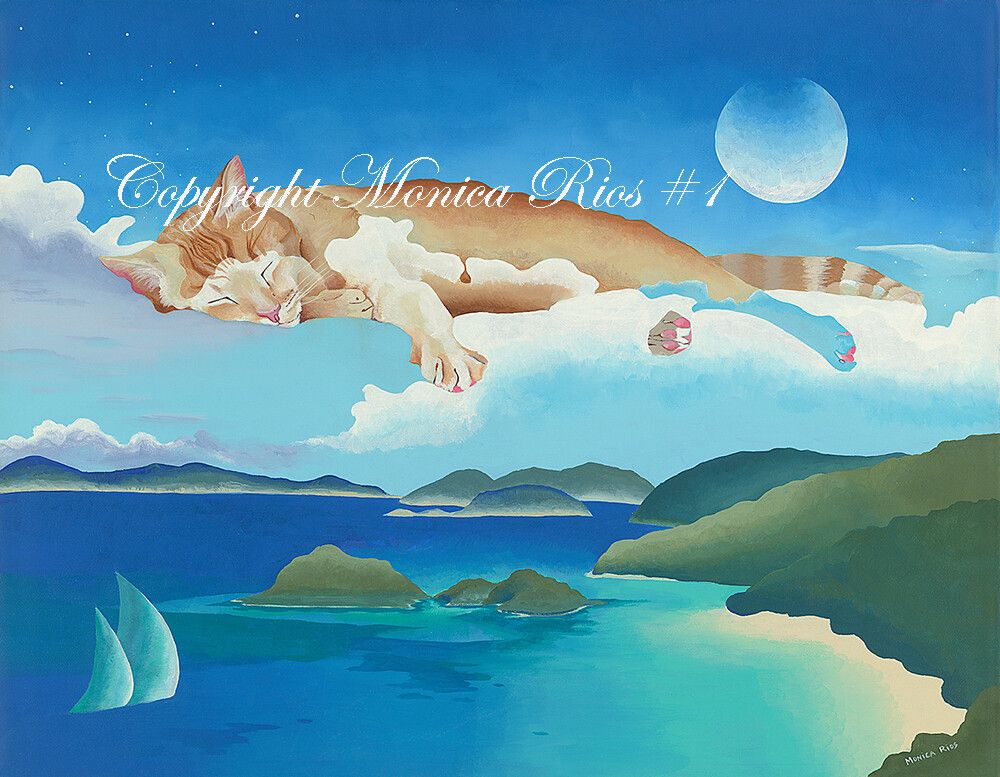 "Bush Cat Over Trunk Bay" 11x14 matted and signed archival print, fits 16x20 frame