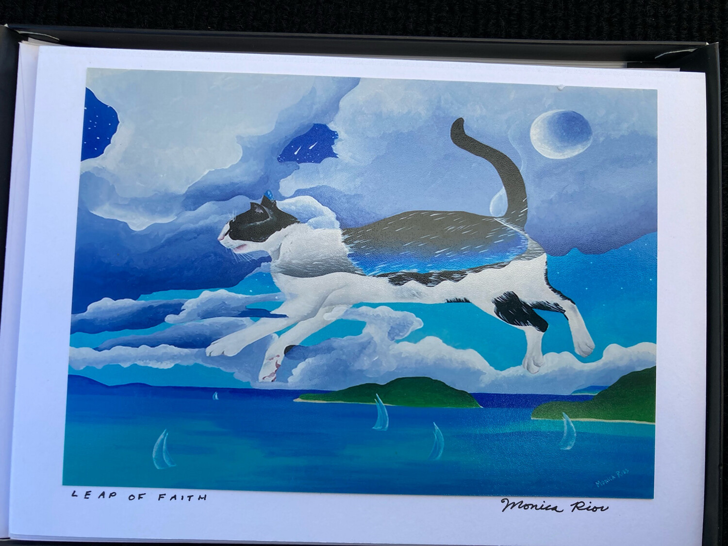 Box of 6 Cards- Cats (1 of Each Image)