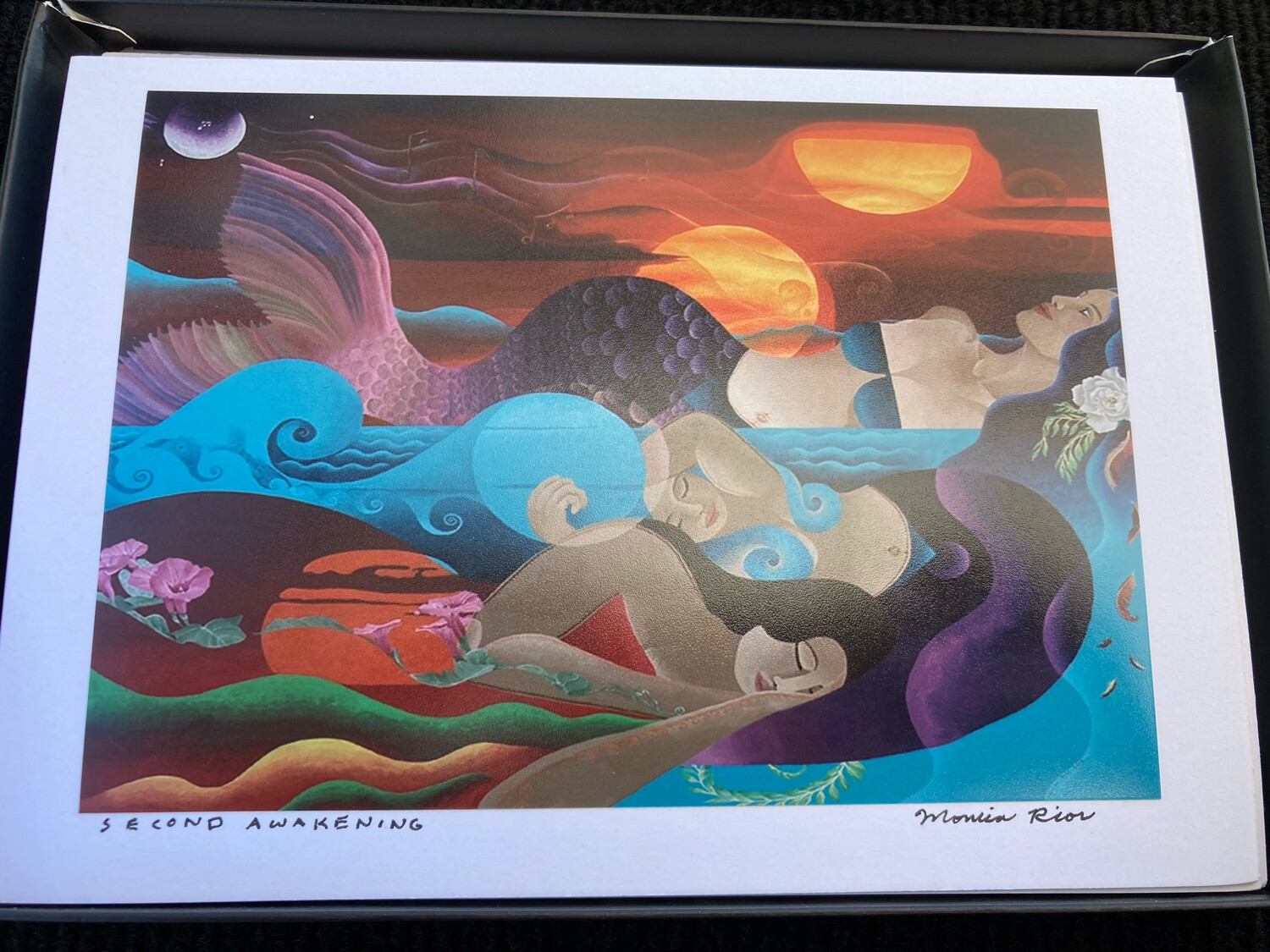Box of 6 Mermaid Cards (1 of Each)