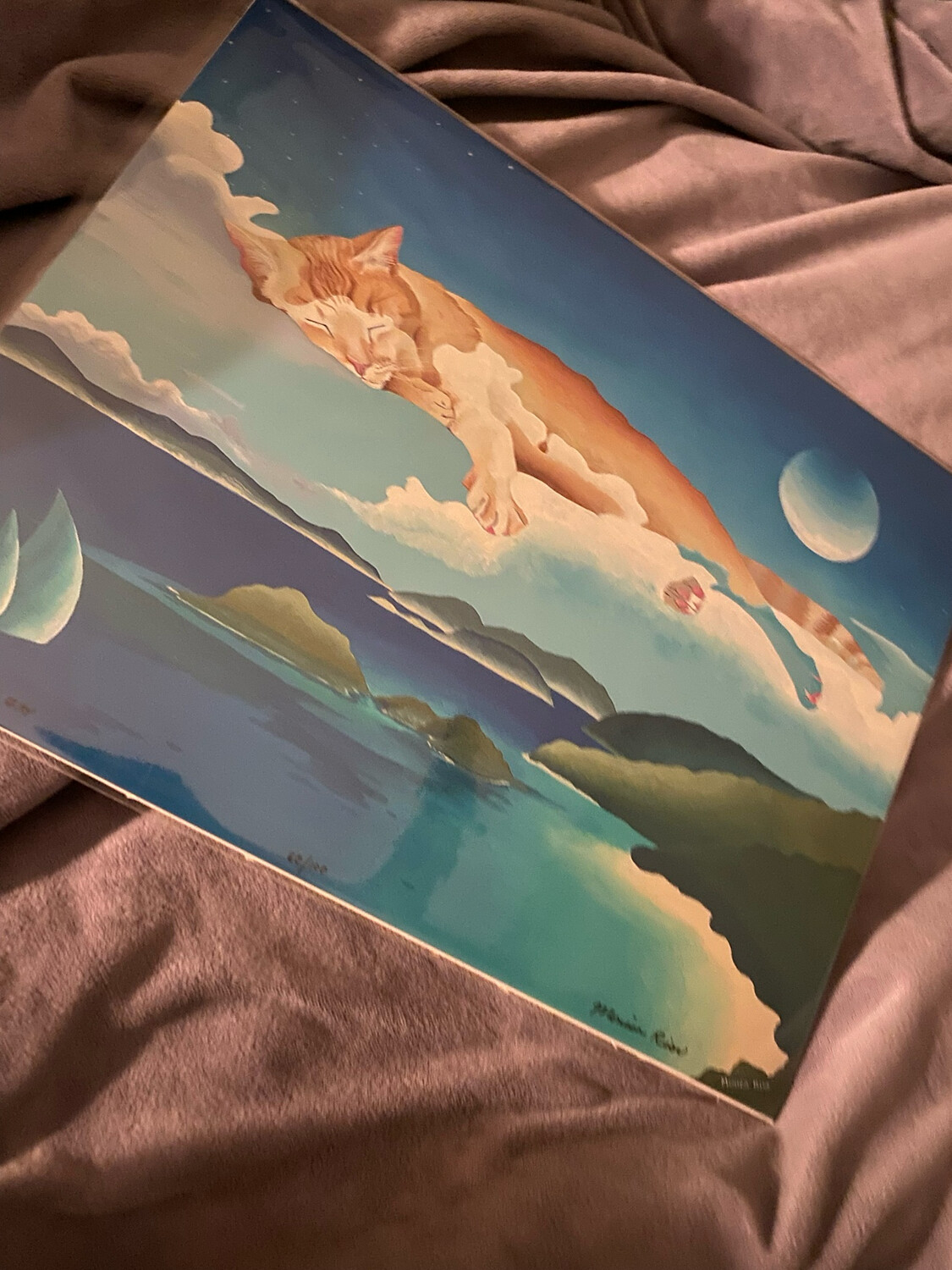 9x12 Bush Cat Over Trunk Bay Unmatted