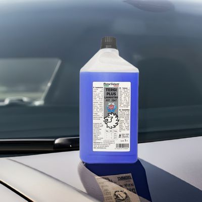 LAVAVETRI TERGI PLUS CONCENTRATO CON ANTIGELO