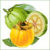 Garcinia Cambogia Supplements
