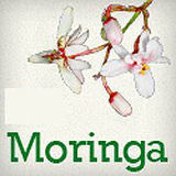 Moringa