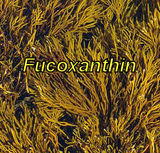 Fucoxanthin