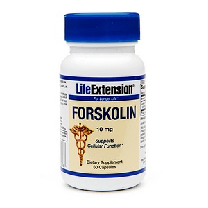 Forskolin by Life Extension