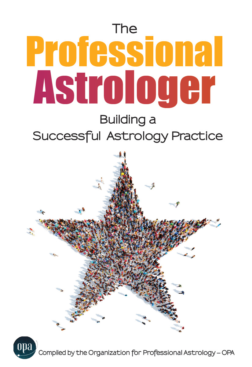 The Professional Astrologer: Building a Successful Astrology Practise