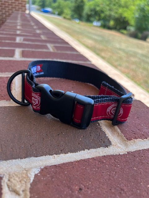 Dog Collar