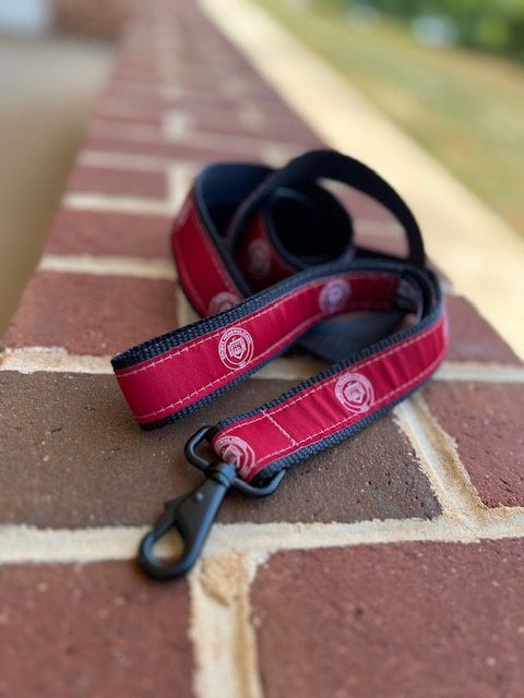 Dog Leash