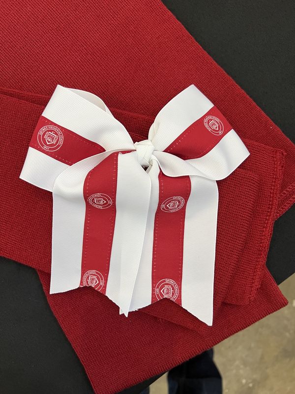 Cheer Bow