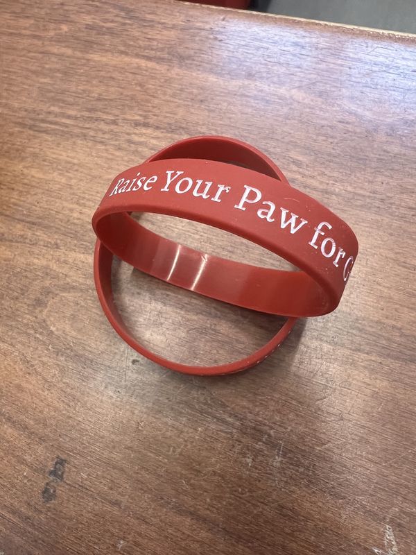 Wristband