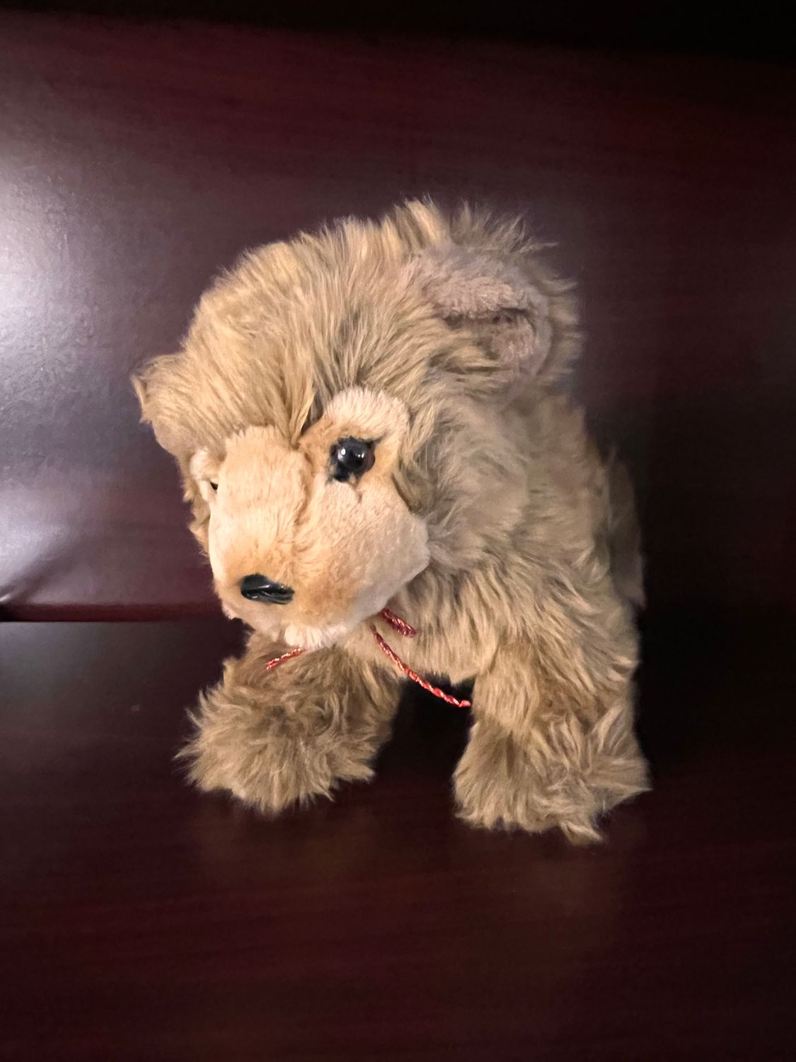 Grymes Grizzly Bear