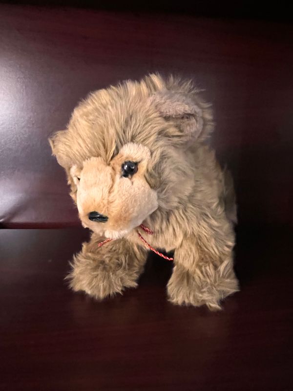 Grymes Grizzly Bear