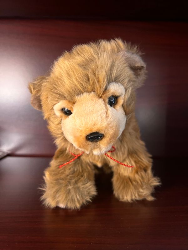 Grymes Grizzly Bear
