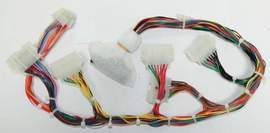 Harness