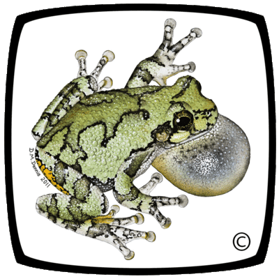 Price Slashed on these Titles