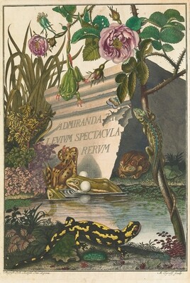 Historiae Amphibiorum 
Herpetology at the Dawn of the 19th Century