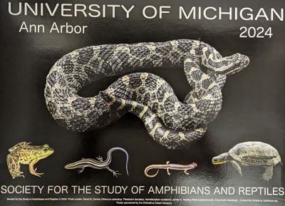 2024 Ann Arbor, MI