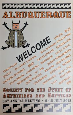 2013 Albuquerque, NM Poster