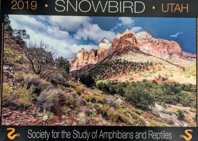 2019 Snowbird, UT