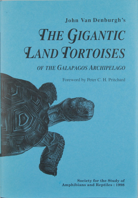 Gigantic Land Tortoises of the Galapagos Archipelago
