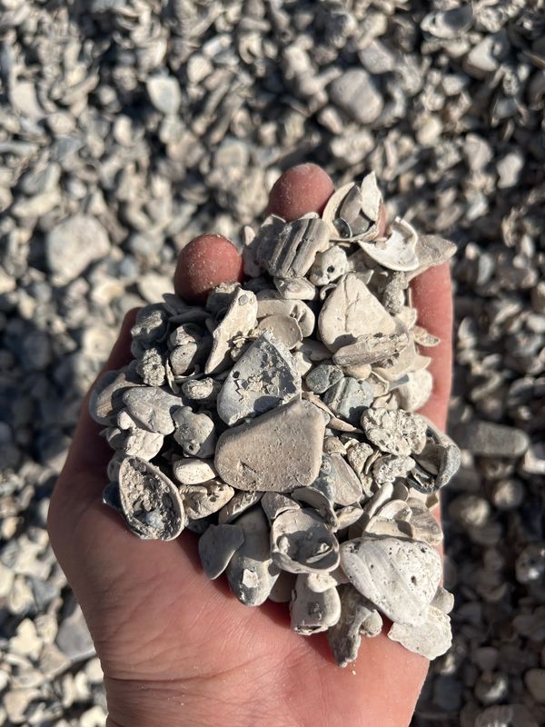 Shell Hash-yard
