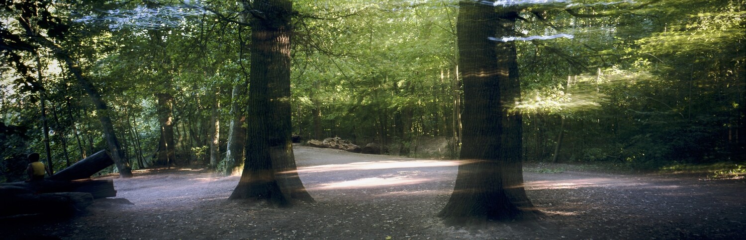 &quot;The Warriors of the forest&quot; (200 x 64 cm) fine art pigment print.