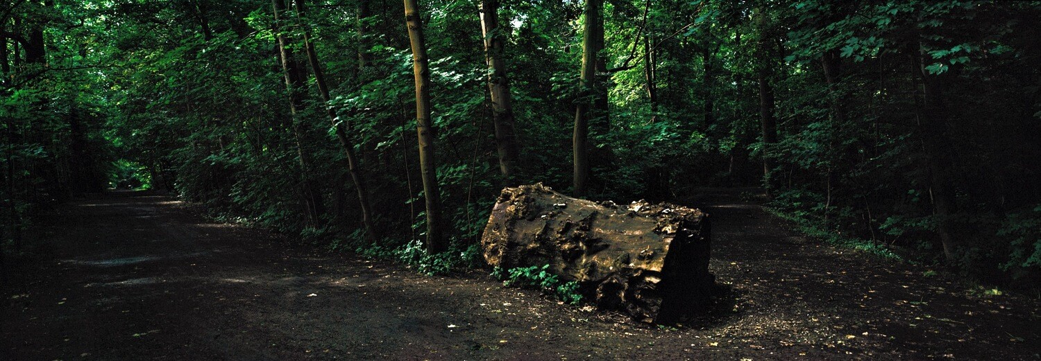 &quot;Leipziger Wood landscape&quot;  fine art pigment print.