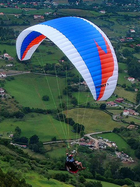 Windtech Honey 3