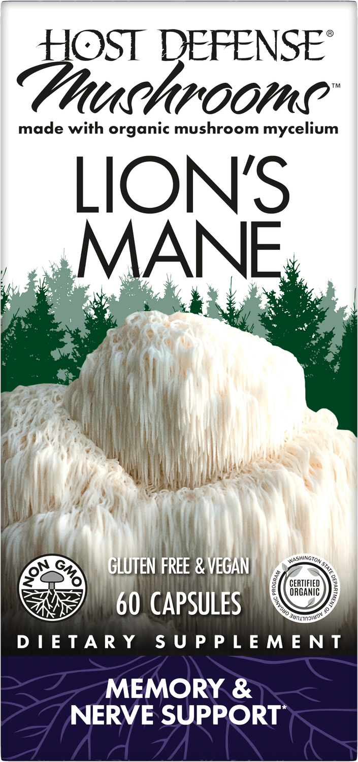 Lion's Mane Lion's Mane