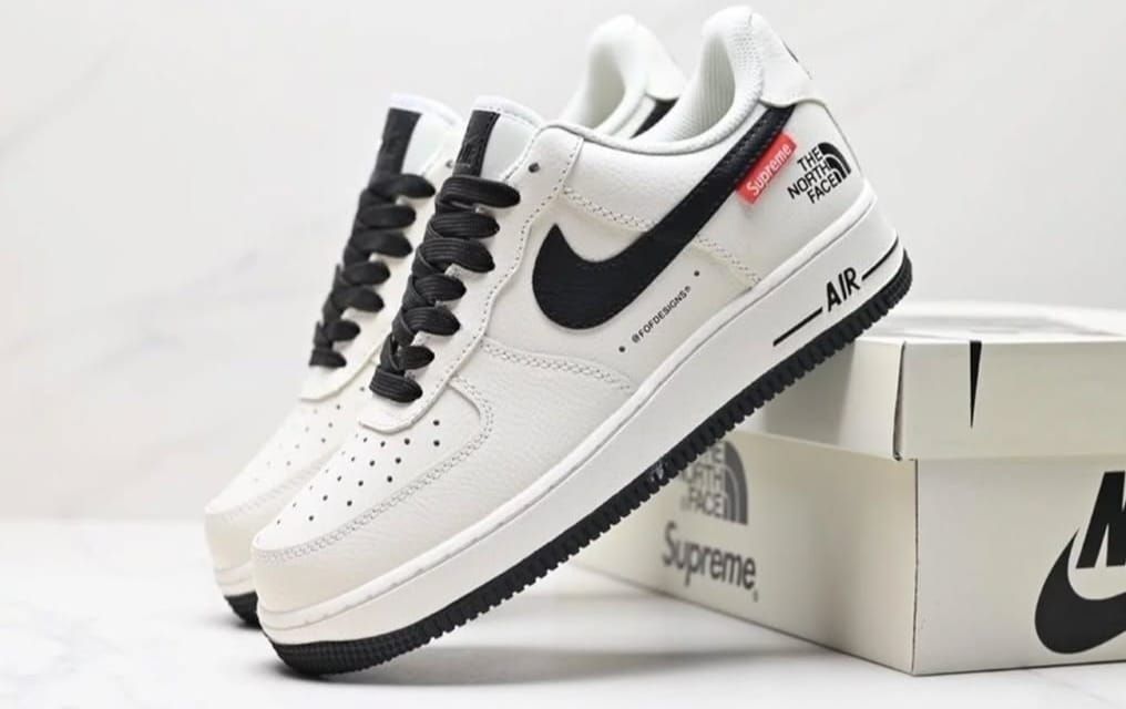 NIKE north face
