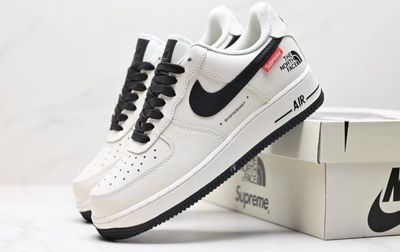 NIKE north face