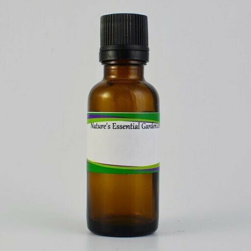 Fragrance Oil 30ml