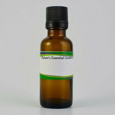 Fragrance Oil 30ml