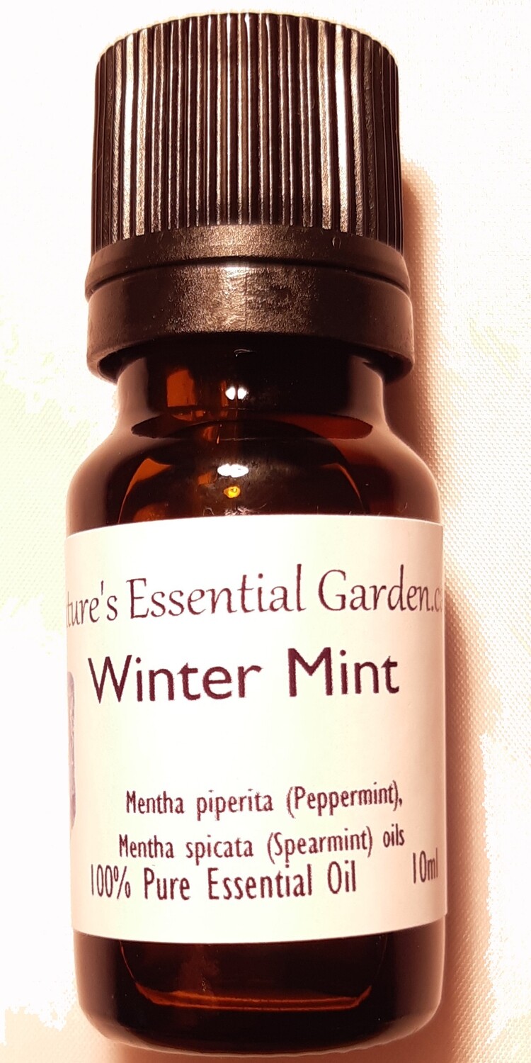 Winter Mint Blend 5ml