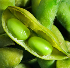 Soyabean, Non- GMO, 120ml