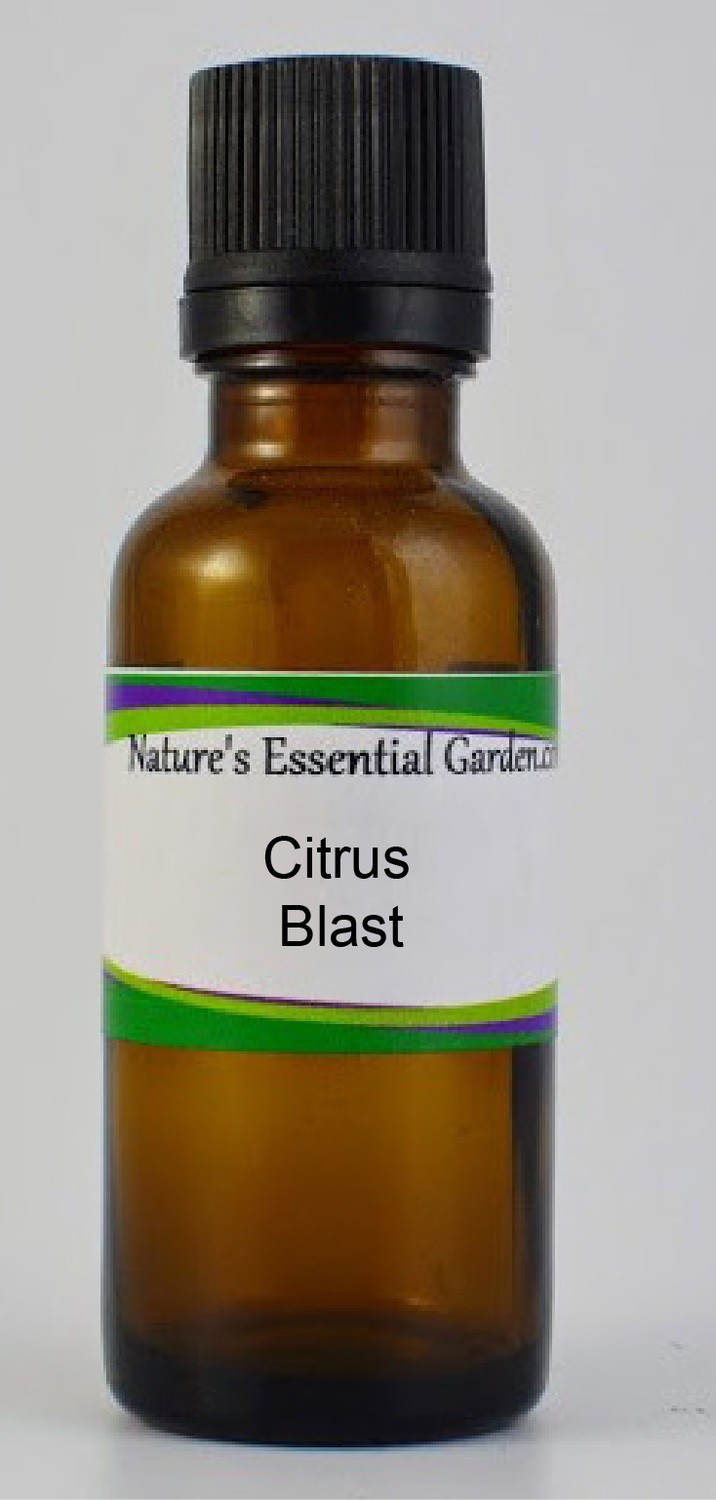 Citrus Blast Oil Blend