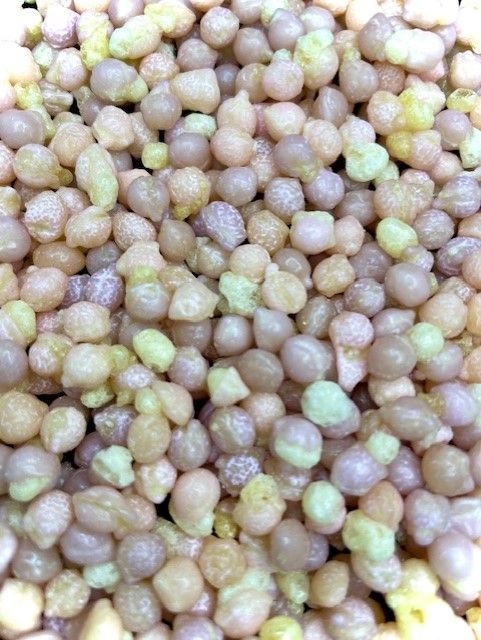 Freeze Dried Zappo Millions - Grape and Strawberry