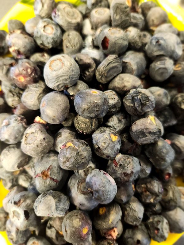 Freeze Dried Blueberries