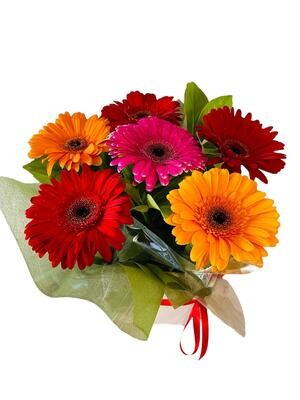 Gerbera Arrangement Gerbera Arrangement