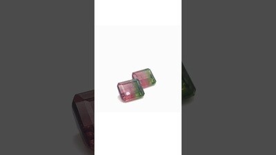 Pair of Tourmaline Bicolor Rectangular 12.5X10